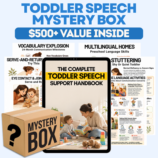 Toddler Speech Mystery Box